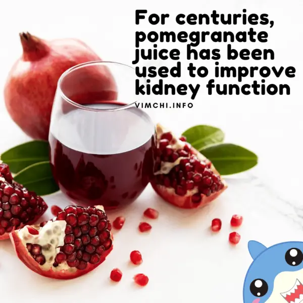 Will Herbal Tea Cause Kidney Stones? Here Are Some Facts