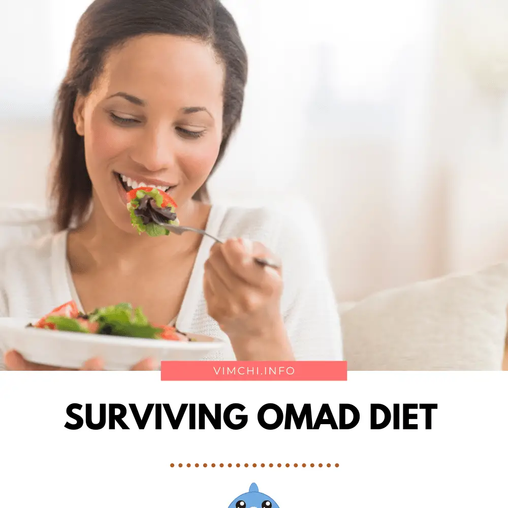 how to survive the omad diet