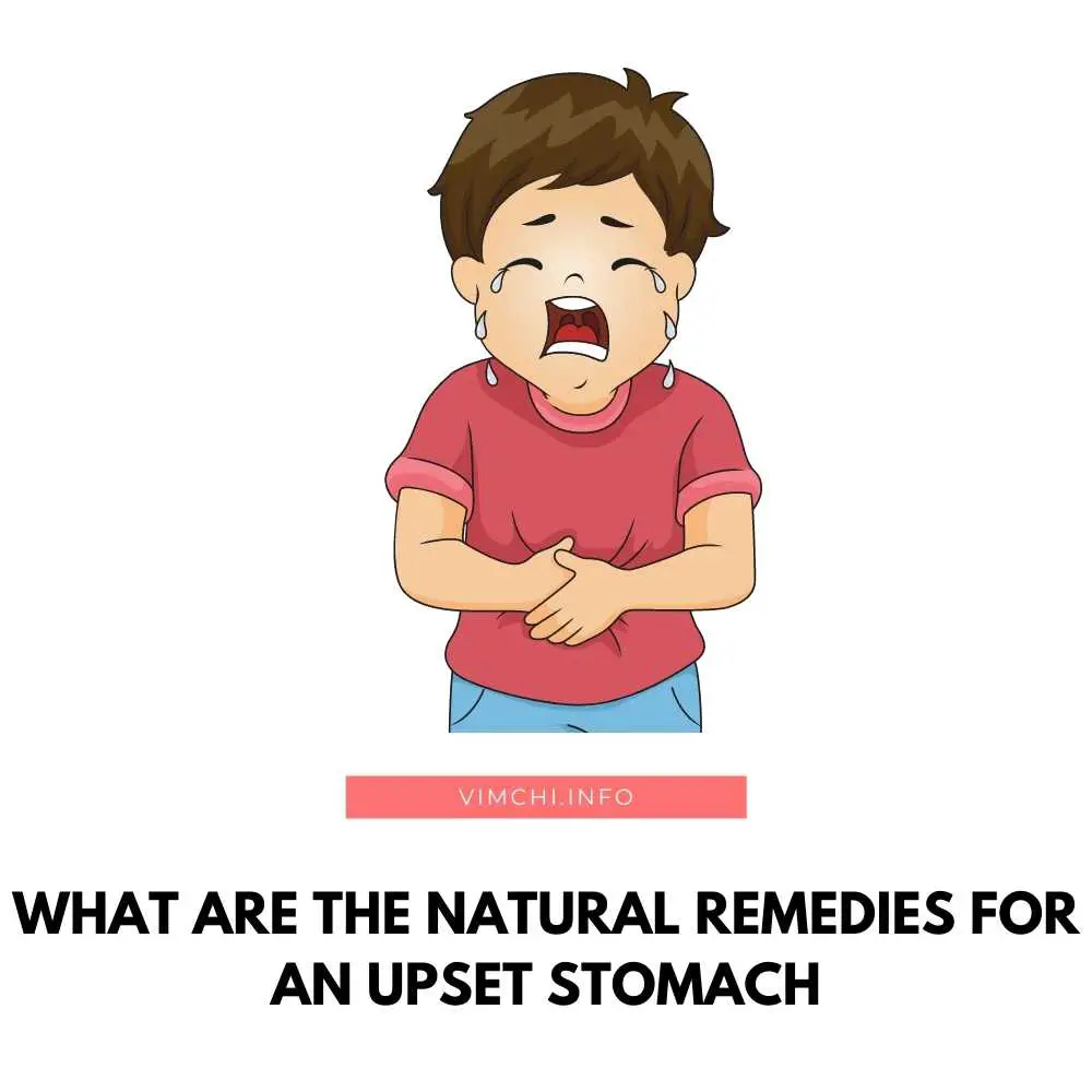 what-are-the-natural-remedies-for-an-upset-stomach-vim-ch-i