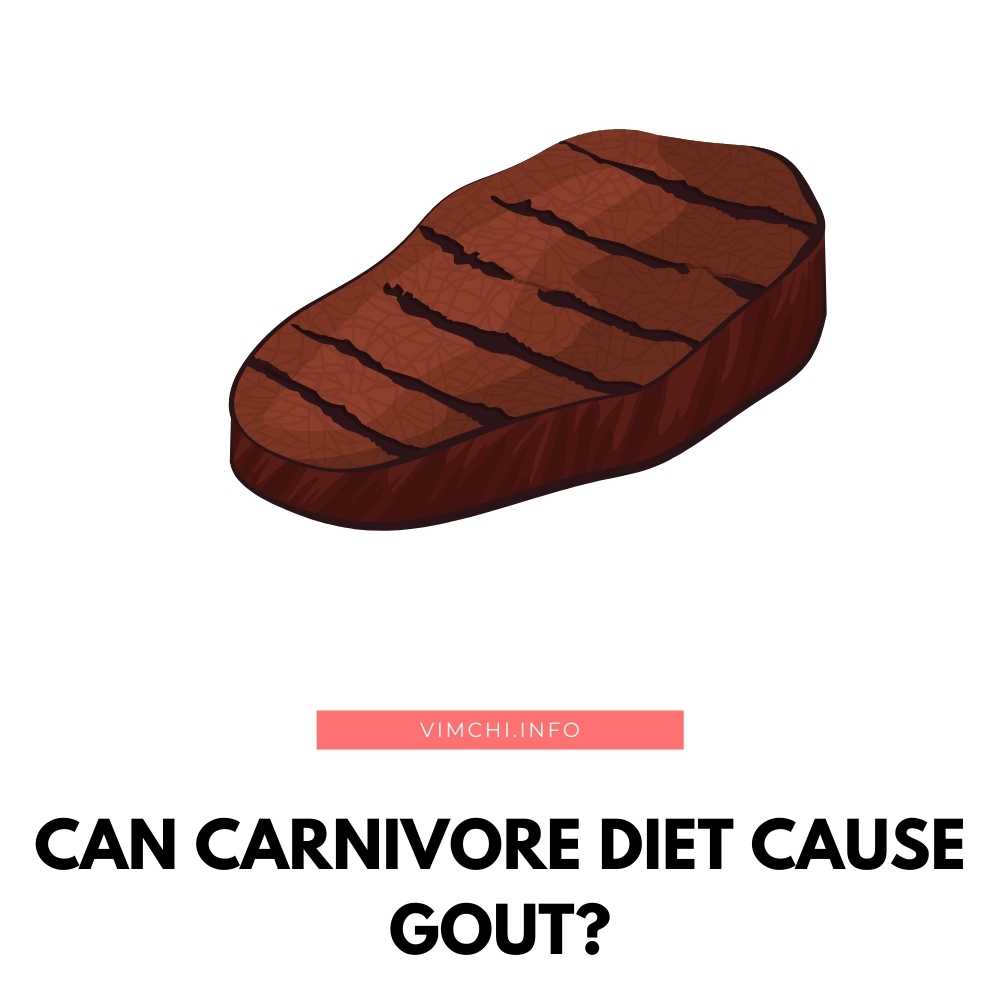 can-carnivore-diet-cause-gout-vim-ch-i