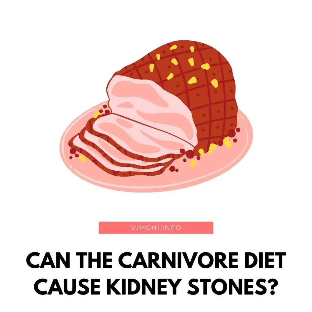 can-the-carnivore-diet-cause-kidney-stones-vim-ch-i